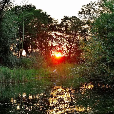 Acorn Glade Glamping Γιορκ