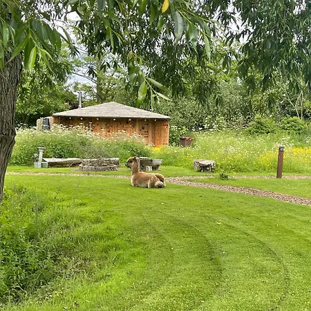 Acorn Glade Glamping * 约克