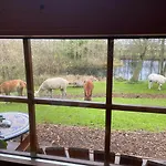 Acorn Glade Glamping Chata