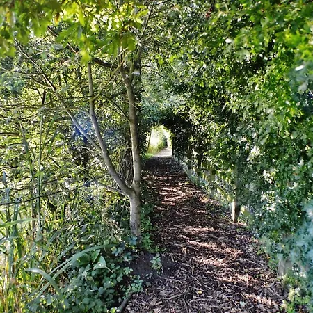 Lodge Acorn Glade Glamping York