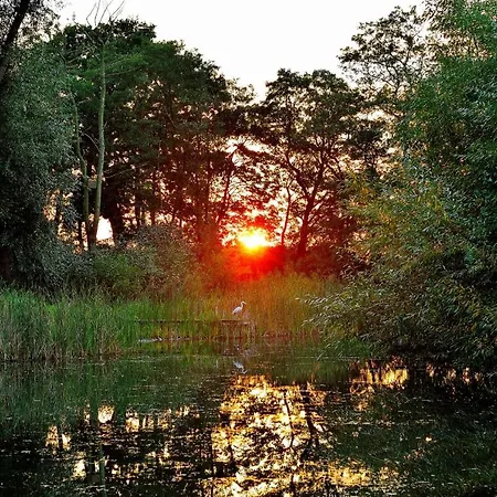 Acorn Glade Glamping York