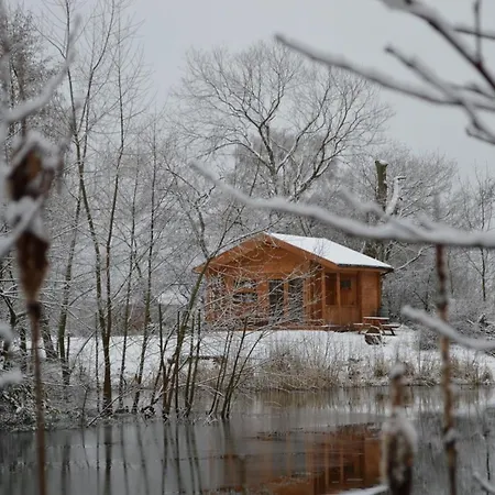 Acorn Glade Glamping Chata *