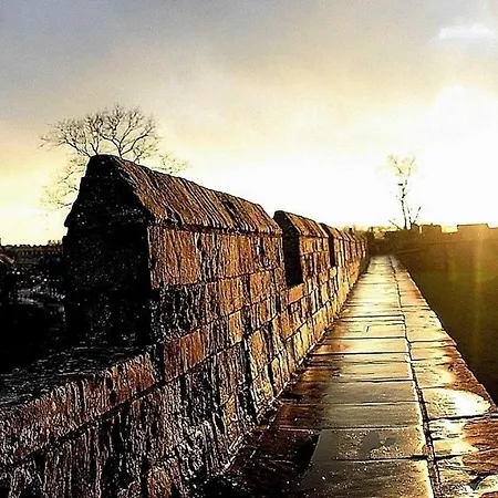 Acorn Glade Glamping
