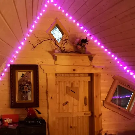 Acorn Glade Glamping Orman Evi *