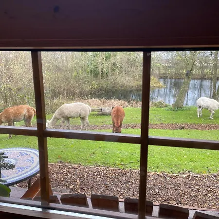 Acorn Glade Glamping Lodge