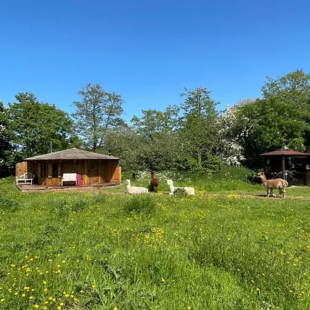 Alojamento de Turismo Selvagem Acorn Glade Glamping *