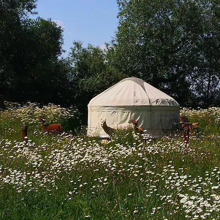 Acorn Glade Glamping *