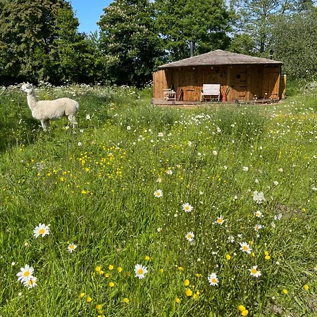 Lodge Acorn Glade Glamping *
