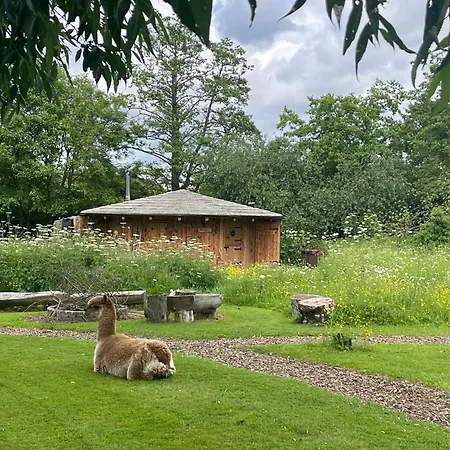 Acorn Glade Glamping