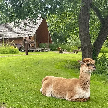 Acorn Glade Glamping * يورك