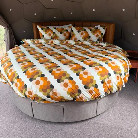 Acorn Glade Glamping Orman Evi