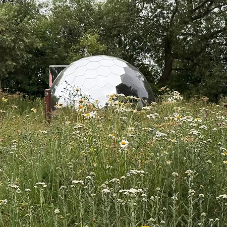 بيت خشبي Acorn Glade Glamping