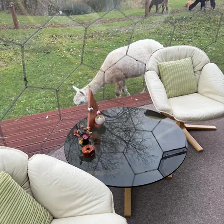 Acorn Glade Glamping * York