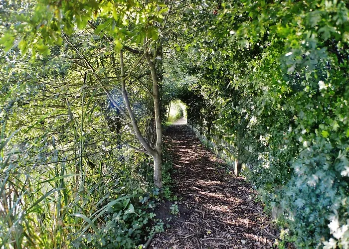 Jaktstuga Acorn Glade Glamping York