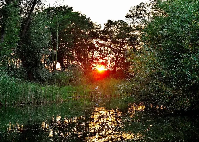 Acorn Glade Glamping York