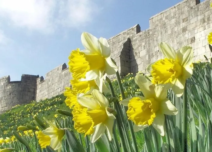 Acorn Glade Glamping Domek letniskowy York