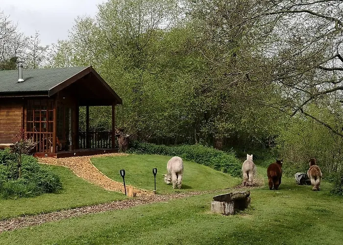 Lodge Acorn Glade Glamping