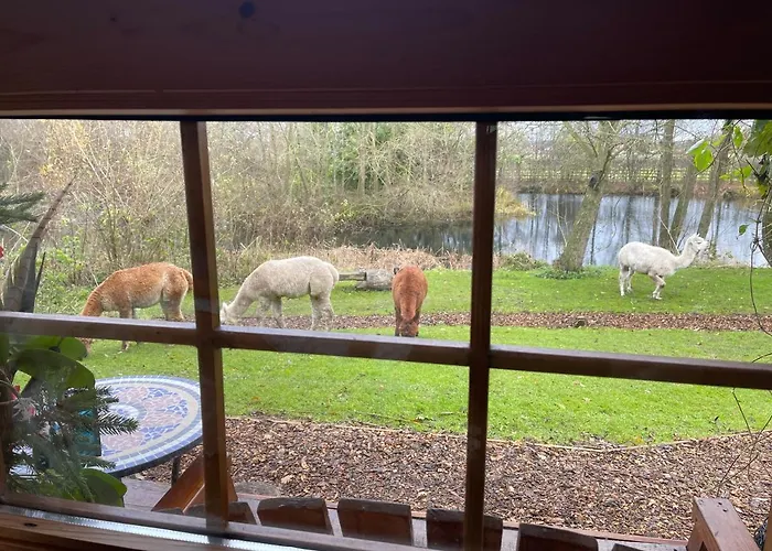 Acorn Glade Glamping Lodge