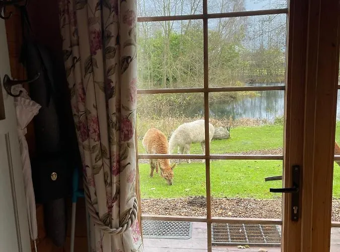 Acorn Glade Glamping Lodge