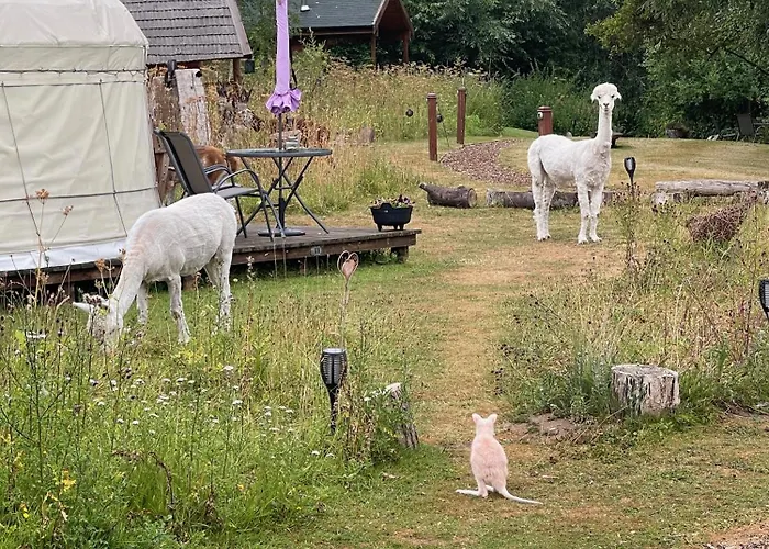 Acorn Glade Glamping Lodge
