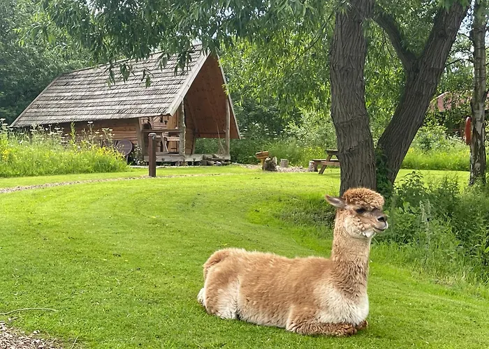 Acorn Glade Glamping * York