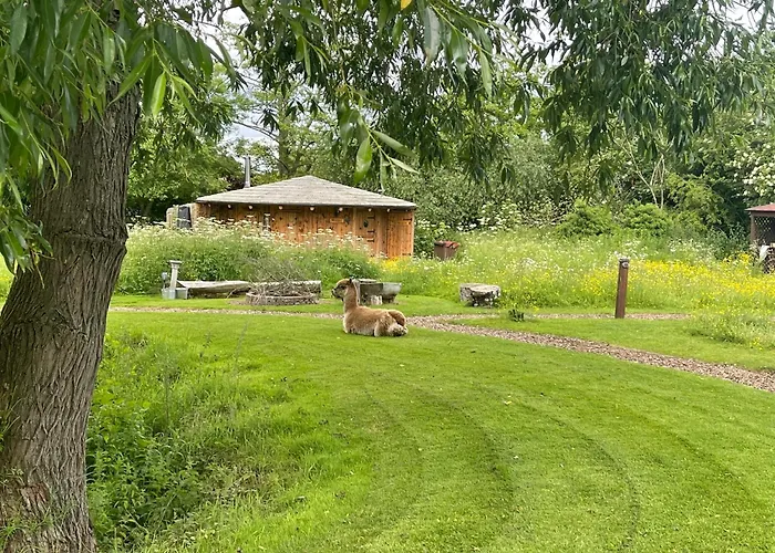 Acorn Glade Glamping * York