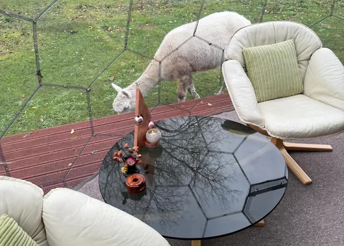 Acorn Glade Glamping * York