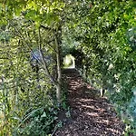 山林小屋 Acorn Glade Glamping 约克
