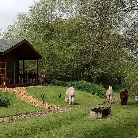 Деревянный коттедж Acorn Glade Glamping