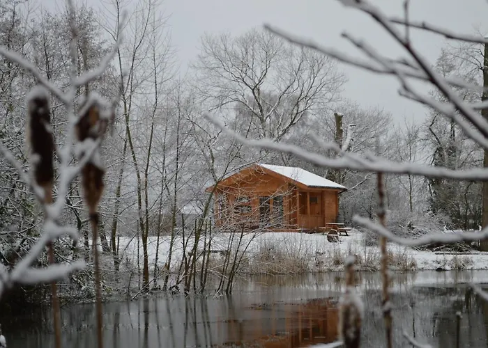 Acorn Glade Glamping Lodge *