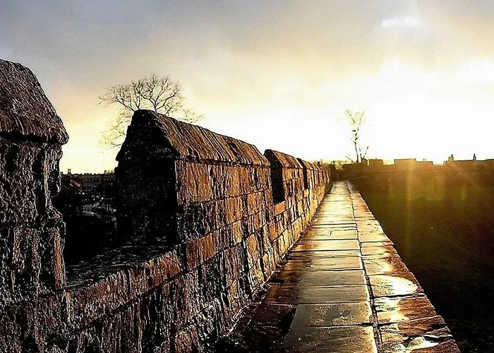 Acorn Glade Glamping