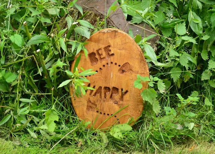 Acorn Glade Glamping * York