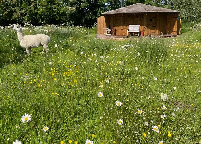 Lodge Acorn Glade Glamping *
