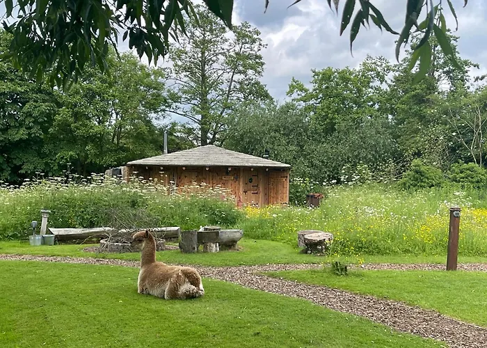 Acorn Glade Glamping