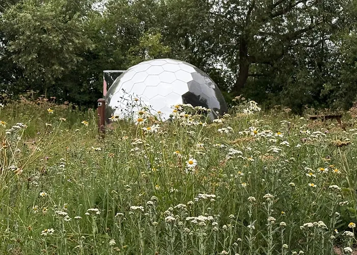 Lodge Acorn Glade Glamping